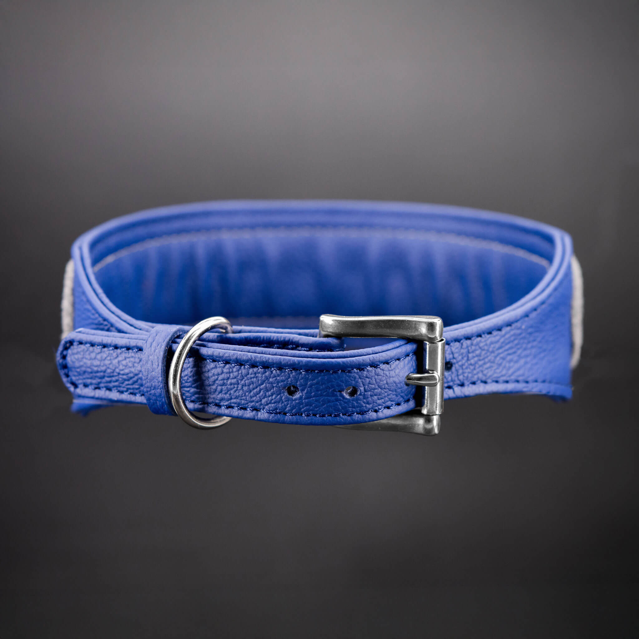 Hochwertiger NIRO-Schnallenverschluss am blauen Lederhalsband