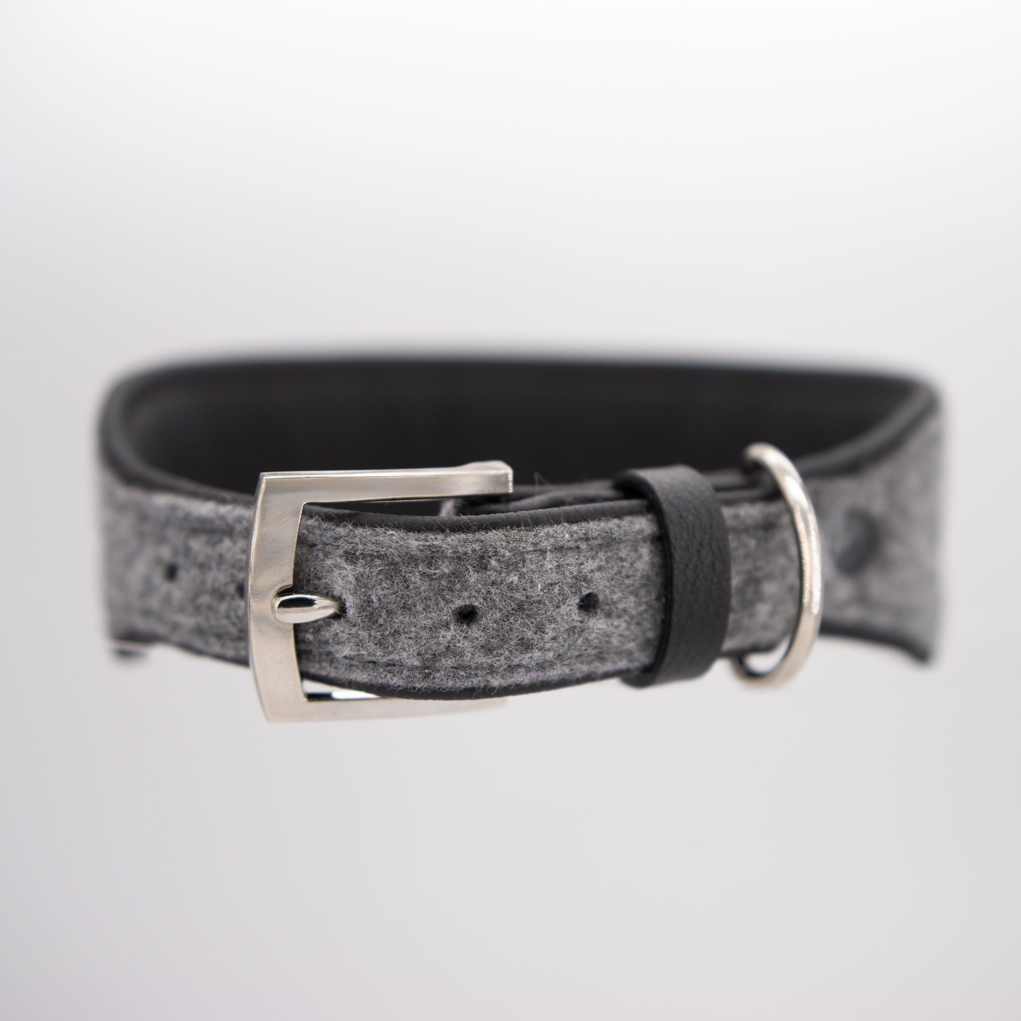 Detailaufnahme des Schnallenverschlusses am schwarzen Lederhalsband