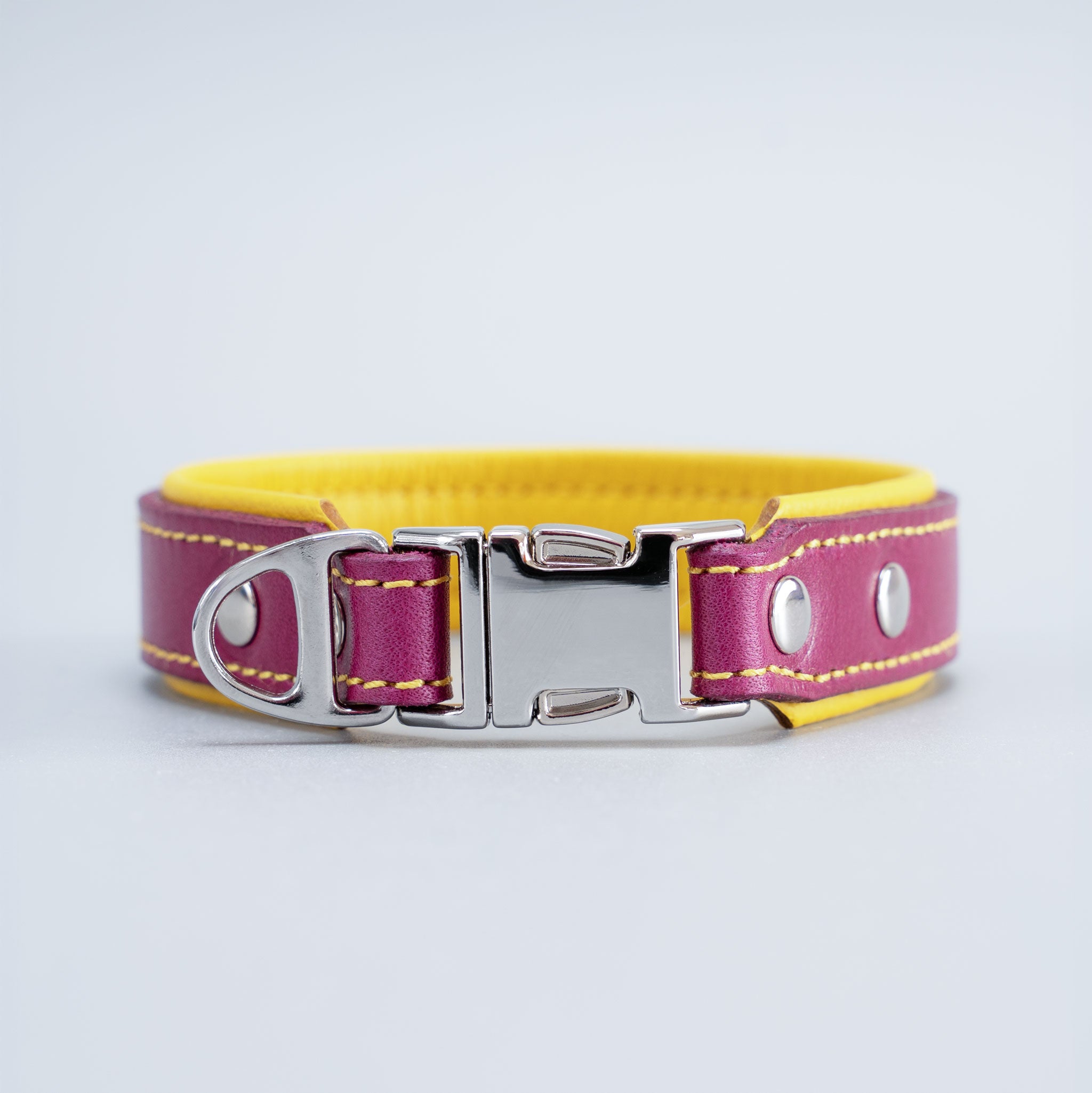 Detailansicht: Hochwertiger Metall-Steckverschluss und D-Ring am Lederhalsband