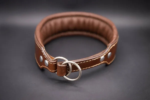 Riemen Halsband, Hunde Halsband handgefertigt, Halsband Konfigurator, DIY Hundehalsband, Riemen Halsband  handmade-4-dogs, Lasergravierter Steckverschluss, handgefertigtes Hundehalsband mit Edelstein