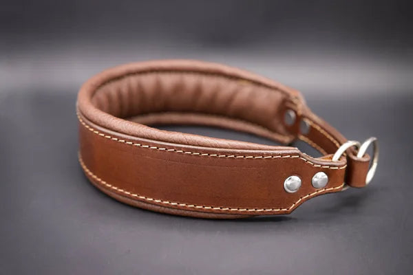 Riemen Halsband, Hunde Halsband handgefertigt, Halsband Konfigurator, DIY Hundehalsband, Riemen Halsband  handmade-4-dogs, Lasergravierter Steckverschluss, handgefertigtes Hundehalsband mit Edelstein