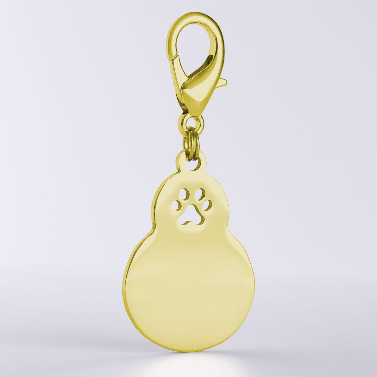 Blanko Hundemarke Kalebasse in gold mit Karabinerhaken