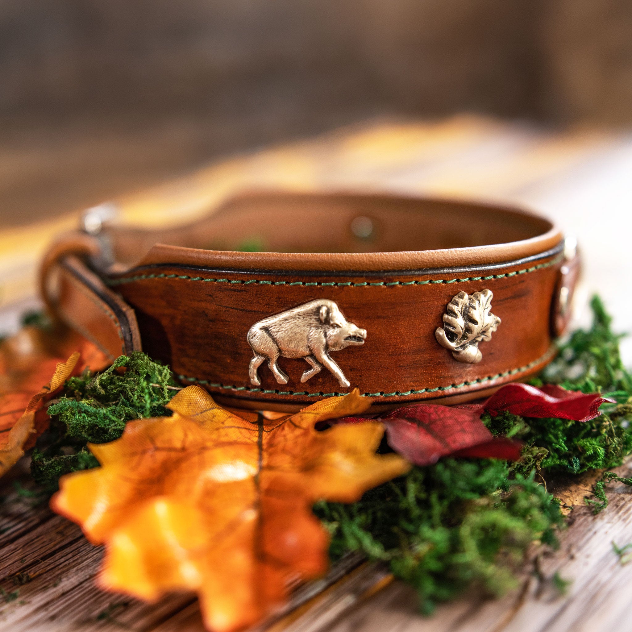 Rustikales Jagdhalsband auf Moos und herbstlichen Blättern