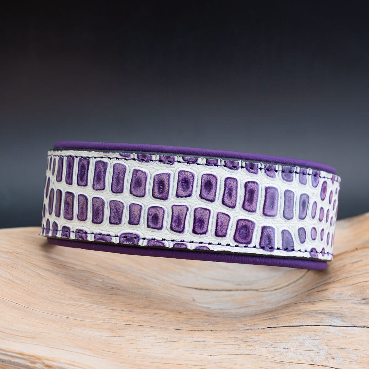 Vorderansicht des 5cm breiten Hunde-Lederhalsbandes mit aufwendiger lila-weißer Kroko-Prägung