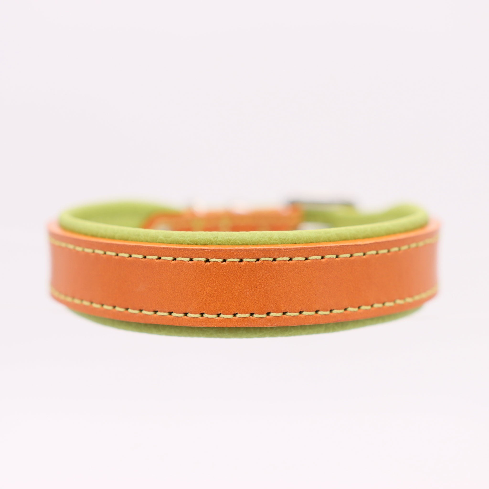direktansicht des Lederhalsbands mit lindgrüner Kontrastnaht