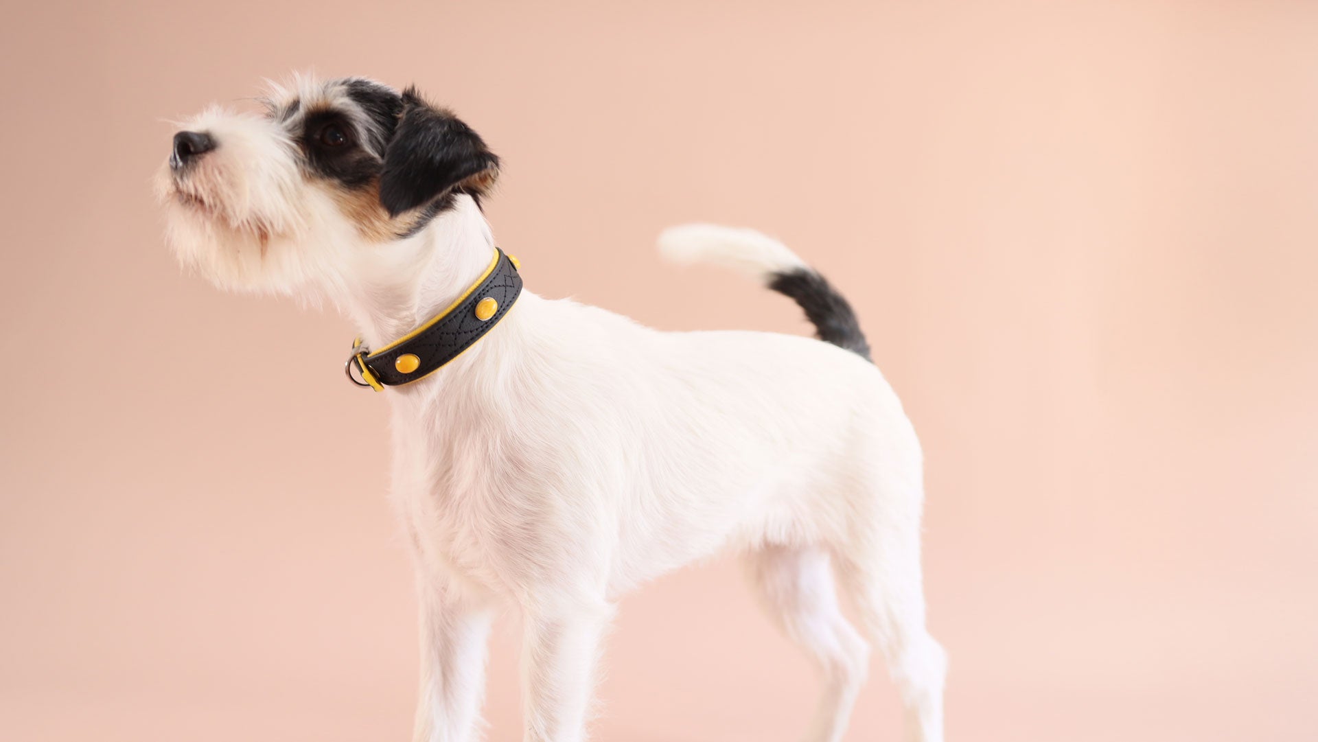 "Gunslinger" – Exklusives Nappaleder-Halsband mit Gelber Jade