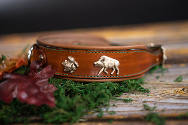 Riemen Halsband, Hunde Halsband handgefertigt, Halsband Konfigurator, DIY Hundehalsband, Riemen Halsband  handmade-4-dogs, Lasergravierter Steckverschluss, handgefertigtes Hundehalsband mit Edelstein