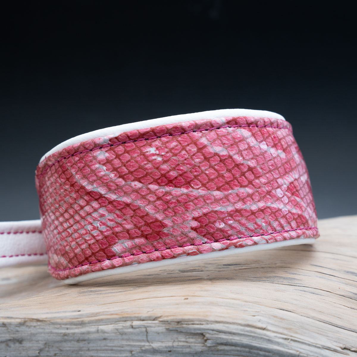 Windhundhalsband aus Leder mit pinkem Python-Print Frontansicht
