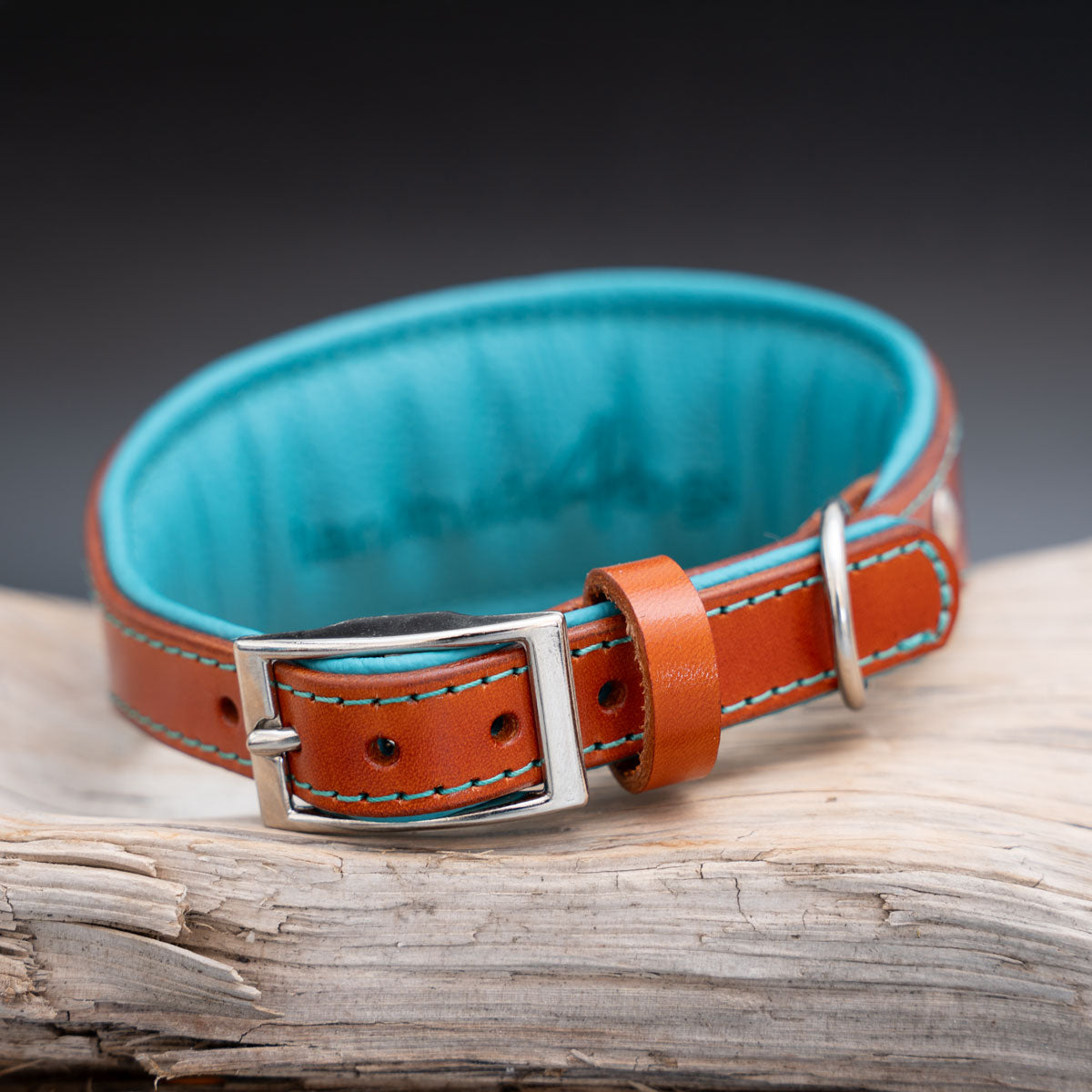 Verschlussansicht des Windhundhalsbands in Orange und Türkis mit Dornschließe, Lederschlaufe und Leinenring.