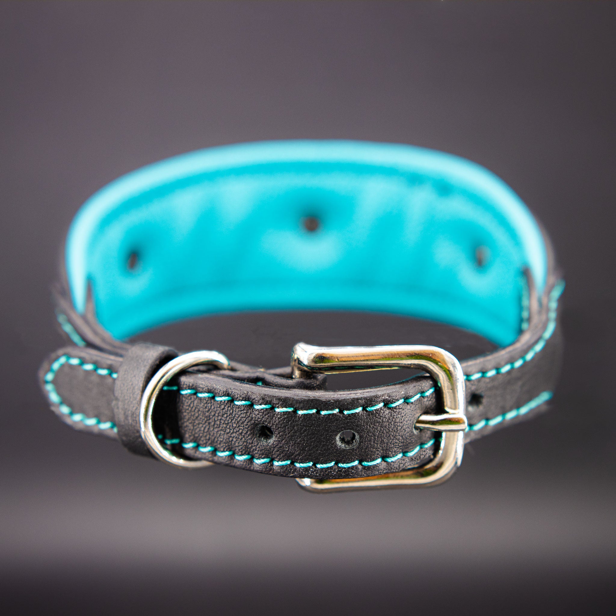 Verschluss des Lederhalsbands mit Dornschnalle in silber und D-Ring auch in silber